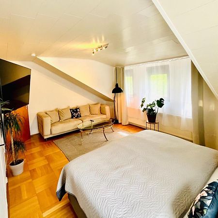Casa Inn Parkview - Relax & Chill - Perfect For Business Travel, Weekend Trip, Family&Friends, Dogs Lover, Romance, Layover Or Longstay Limburg an der Lahn Kültér fotó