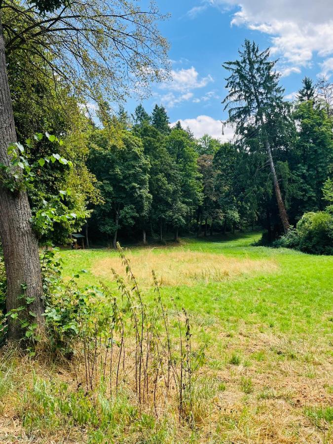 Casa Inn Parkview - Relax & Chill - Perfect For Business Travel, Weekend Trip, Family&Friends, Dogs Lover, Romance, Layover Or Longstay Limburg an der Lahn Kültér fotó
