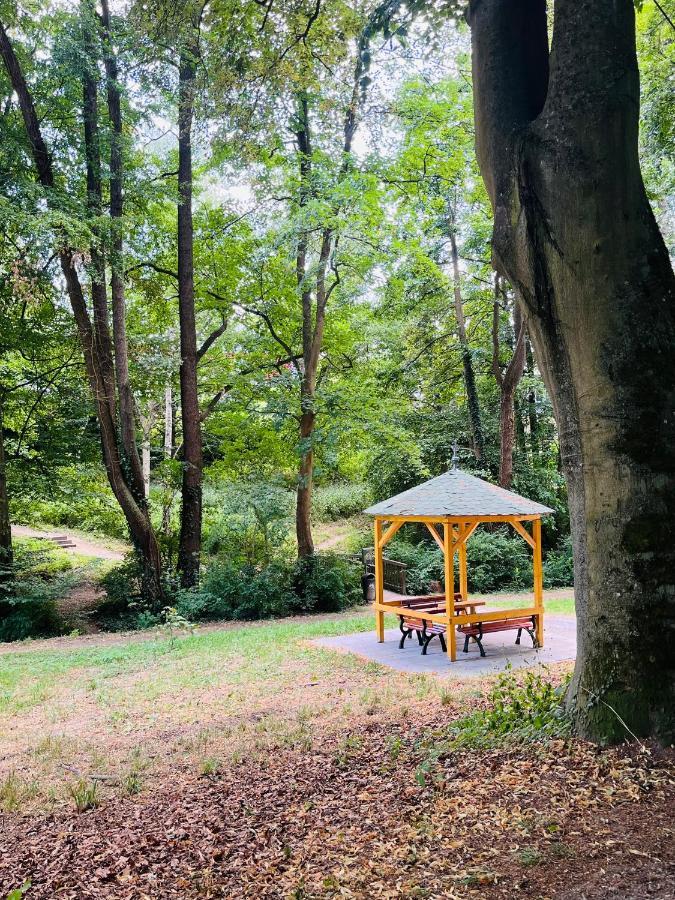 Casa Inn Parkview - Relax & Chill - Perfect For Business Travel, Weekend Trip, Family&Friends, Dogs Lover, Romance, Layover Or Longstay Limburg an der Lahn Kültér fotó