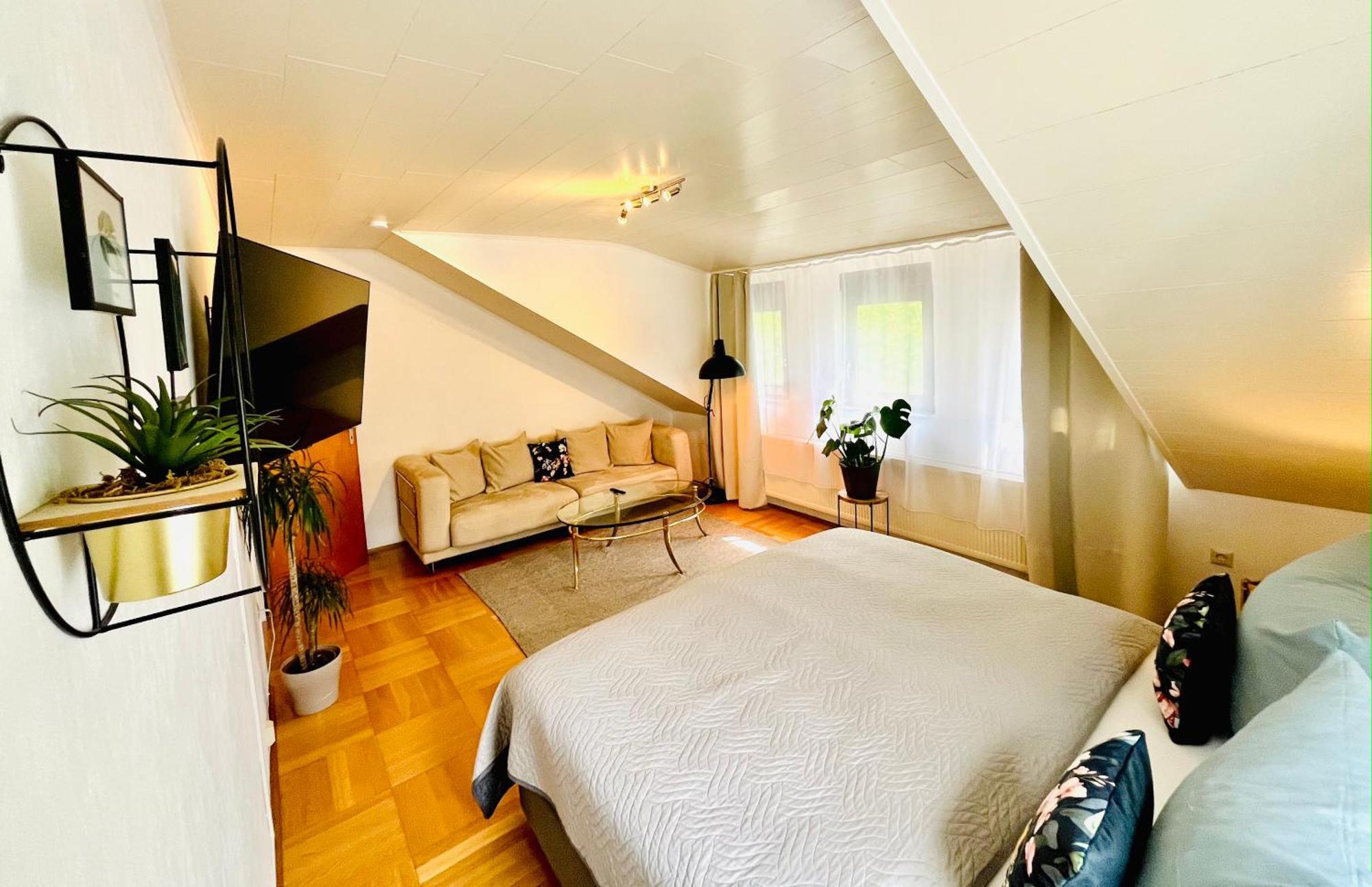 Casa Inn Parkview - Relax & Chill - Perfect For Business Travel, Weekend Trip, Family&Friends, Dogs Lover, Romance, Layover Or Longstay Limburg an der Lahn Kültér fotó